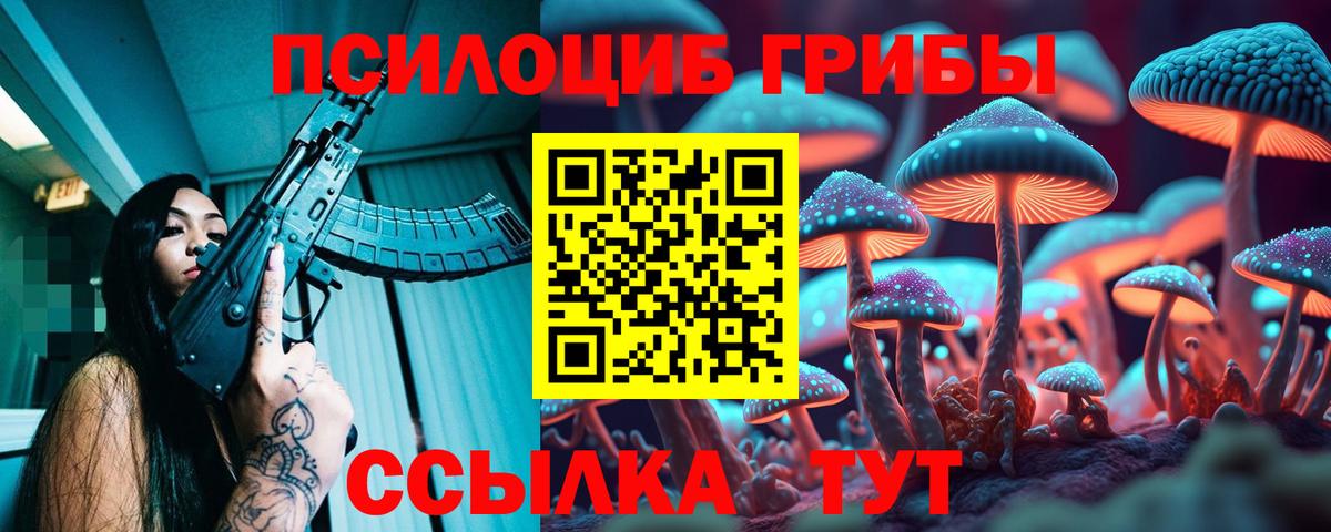 Псилоцибиновые грибы мицелий  Вход с VPN  Луга 